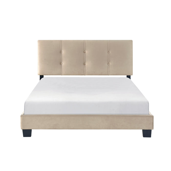 Newberry Full Platform Bed in Brown - 1350BRF-1 - FAMSA Furniture (TX)