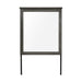 Lenior Mirror in Gray - 1342-6 - FAMSA Furniture (TX)