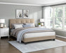 Newberry Queen Platform Bed in Brown - 1350BR-1 - FAMSA Furniture (TX)