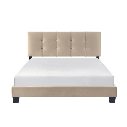 Newberry Queen Platform Bed in Brown - 1350BR-1 - FAMSA Furniture (TX)