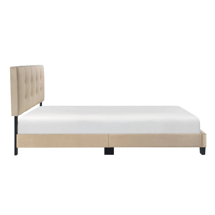Newberry Queen Platform Bed in Brown - 1350BR-1 - FAMSA Furniture (TX)
