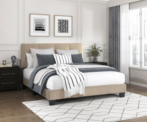 Newberry Full Platform Bed in Brown - 1350BRF-1 - FAMSA Furniture (TX)