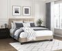 Newberry Full Platform Bed in Brown - 1350BRF-1 - FAMSA Furniture (TX)