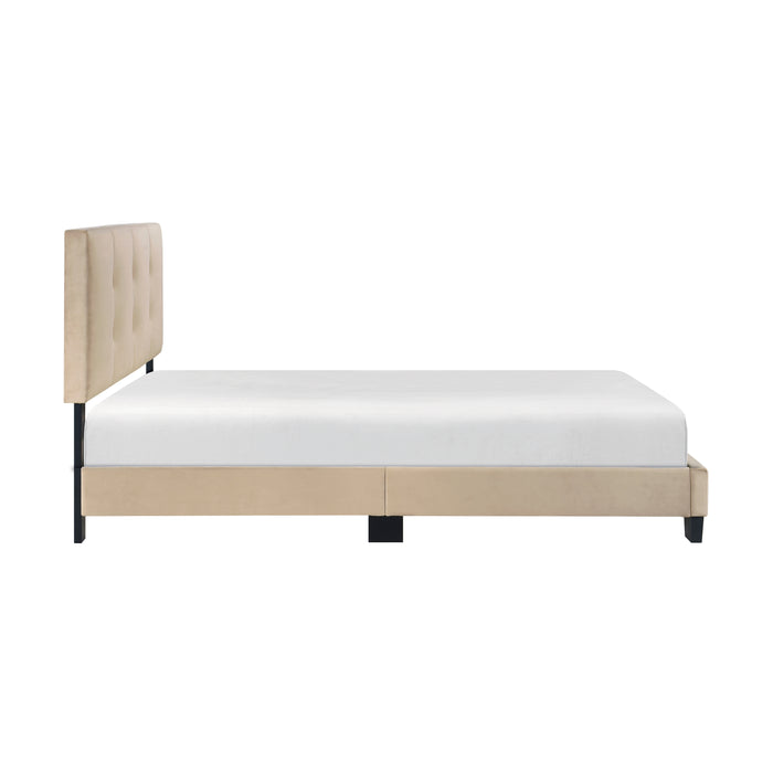 Newberry Full Platform Bed in Brown - 1350BRF-1 - FAMSA Furniture (TX)