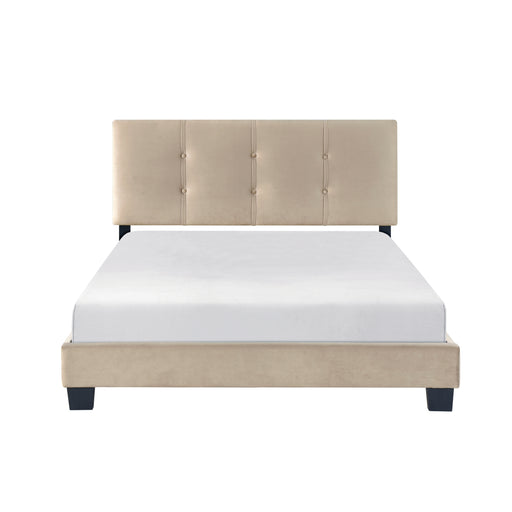Newberry Full Platform Bed in Brown - 1350BRF-1 - FAMSA Furniture (TX)
