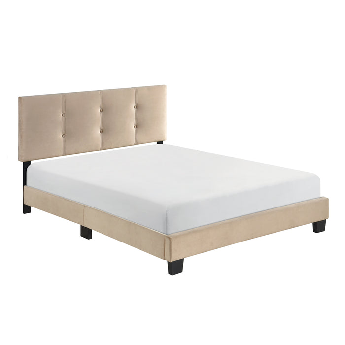 Newberry Full Platform Bed in Brown - 1350BRF-1 - FAMSA Furniture (TX)