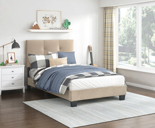 Newberry Twin Platform Bed in Brown - 1350BRT-1 - FAMSA Furniture (TX)