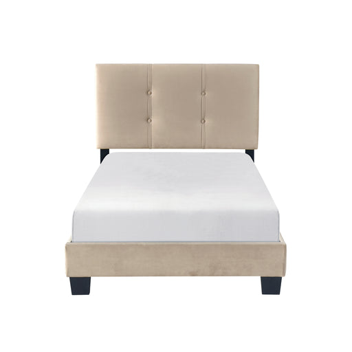 Newberry Twin Platform Bed in Brown - 1350BRT-1 - FAMSA Furniture (TX)