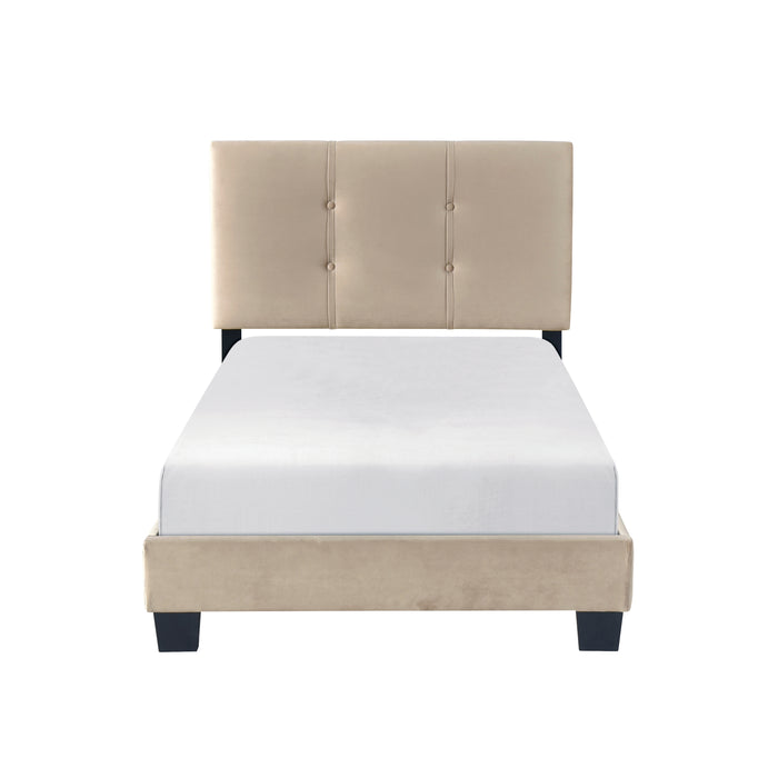 Newberry Twin Platform Bed in Brown - 1350BRT-1 - FAMSA Furniture (TX)