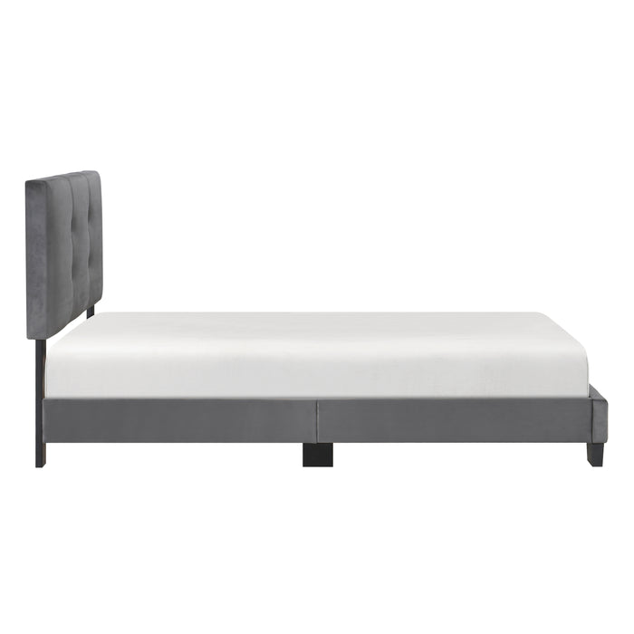 Newberry Twin Platform Bed in Gray - 1350DGT-1 - FAMSA Furniture (TX)