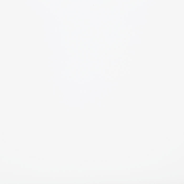 Hudson Mirror in White - 1520WH-6 - FAMSA Furniture (TX)