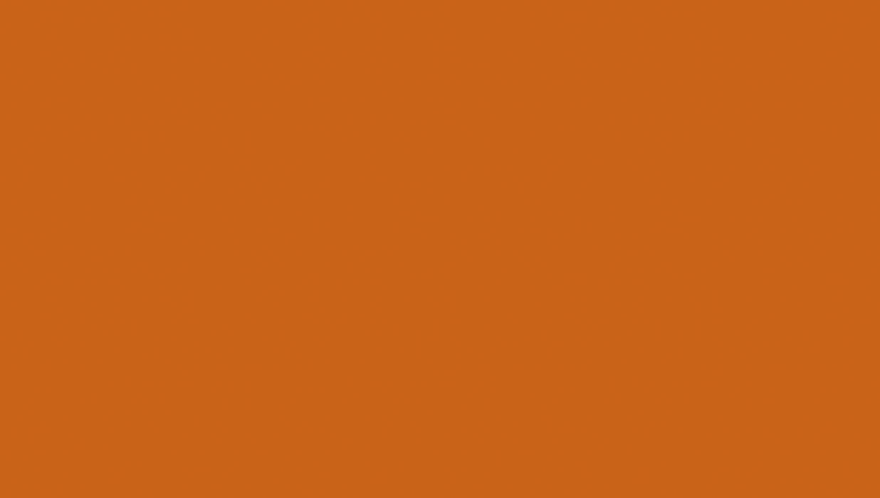 Bethany Twin Platform Bed in Orange - 1571RNT-1 - FAMSA Furniture (TX)