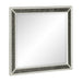 Salon Mirror in Gold/Silver/Champagne/White - 1572W-6 - FAMSA Furniture (TX)