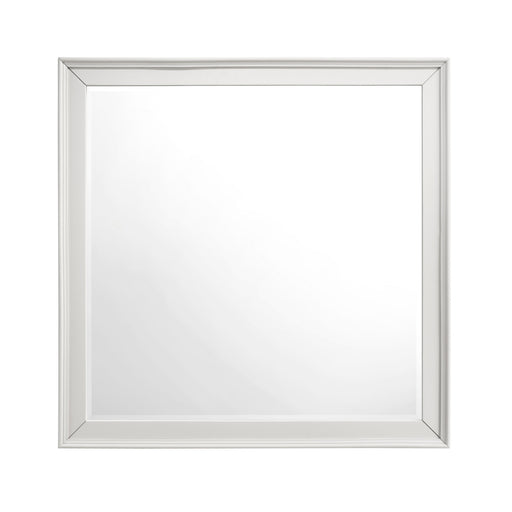 1581-6 Mirror image
