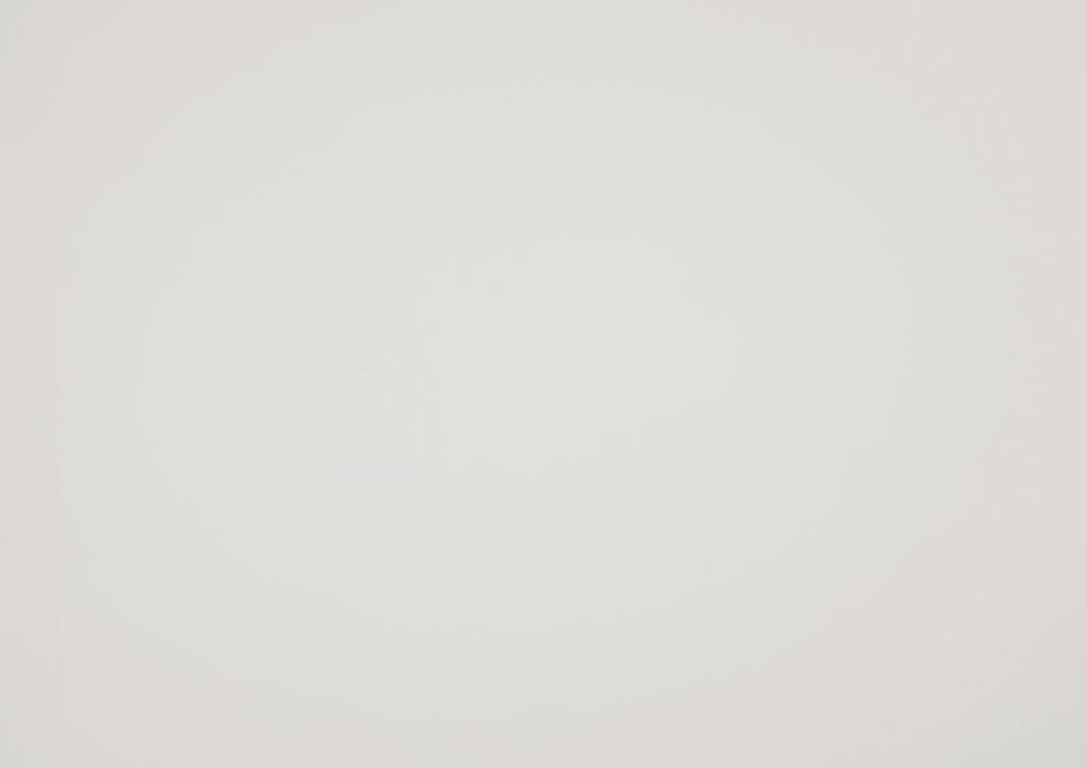 Donahue Twin Bed in White - 1581T-1 - FAMSA Furniture (TX)