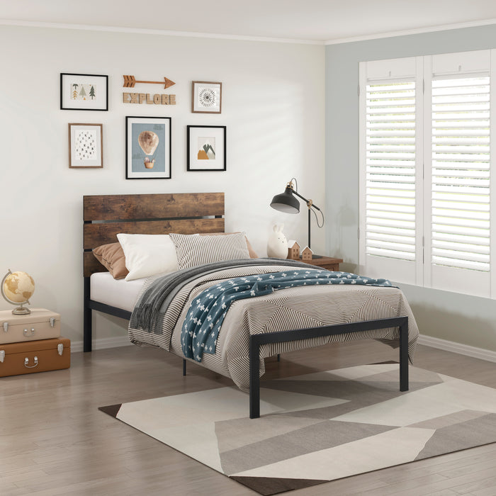 Marshall Twin Platform Bed in Black/Brown - 1611T-1 - FAMSA Furniture (TX)