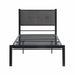 Samuel Twin Platform Bed in Black/Gray - 1612T-1 - FAMSA Furniture (TX)