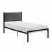 Samuel Twin Platform Bed in Black/Gray - 1612T-1 - FAMSA Furniture (TX)