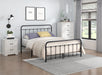 Fawn Queen Platform Bed in Black - 1628-1 - FAMSA Furniture (TX)