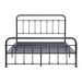 Fawn Queen Platform Bed in Black - 1628-1 - FAMSA Furniture (TX)
