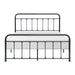 Fawn Queen Platform Bed in Black - 1628-1 - FAMSA Furniture (TX)