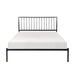 Augusta Queen Platform Bed in Black - 1630-1 - FAMSA Furniture (TX)