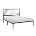 Augusta Queen Platform Bed in Black - 1630-1 - FAMSA Furniture (TX)