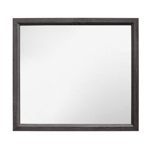 Davi MIRROR in Gray - 1645-6 - FAMSA Furniture (TX)