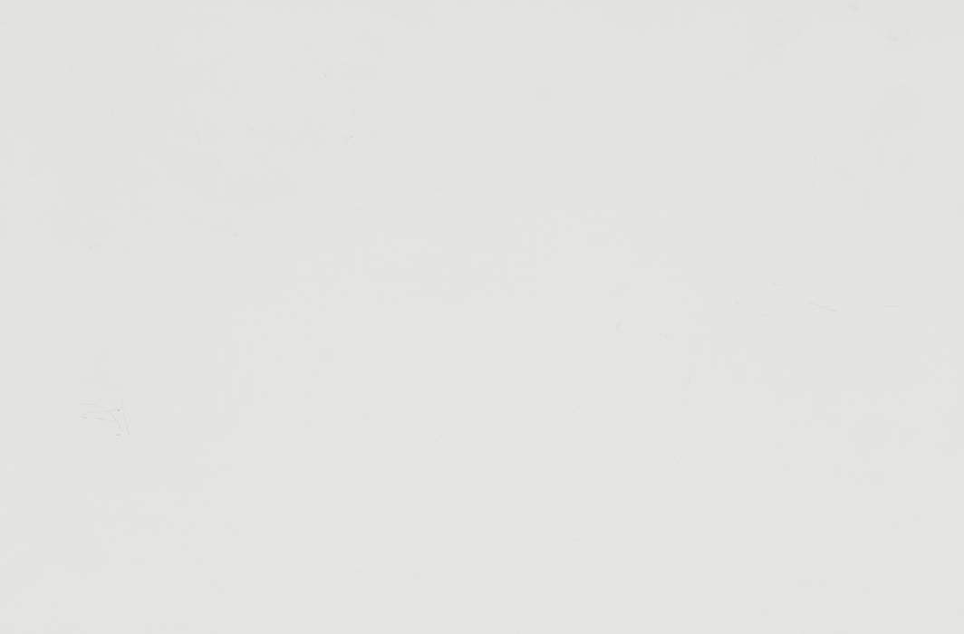Blaire Farm Mirror in White - 1675W-6 - FAMSA Furniture (TX)