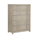 Mckewen Chest in Gray - 1820N-9 - FAMSA Furniture (TX)