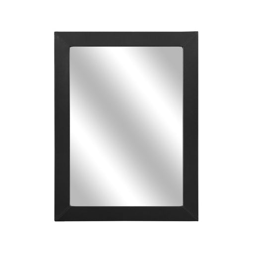 Lorenzi Mirror in Black - 2220-6 - FAMSA Furniture (TX)