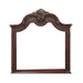Deryn Park Mirror in Cherry/Metallic Accent - Traditional - 2243-6 - FAMSA Furniture (TX)