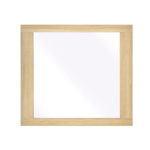 2330-6 Mirror image