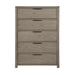 2393-9 Chest image