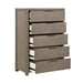 2393-9 Chest image