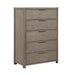 2393-9 Chest image