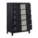 2425-9 CHEST image