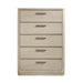 2477-9 Chest image