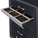 Chest - Image 6