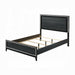 Haiden Queen Bed With Led - FAMSA Furniture (TX)