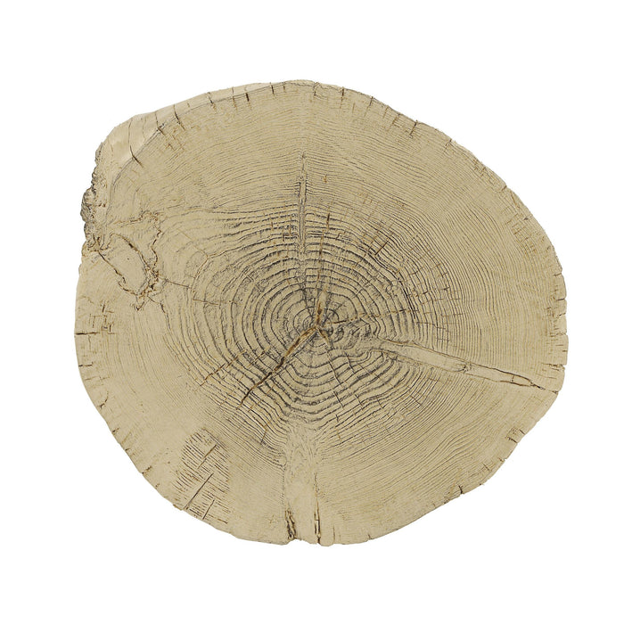 Gene Accent Table - Image 9