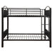 Cayelynn Bunk Bed (F/F) - Image 3