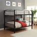 Cayelynn Bunk Bed (F/F)