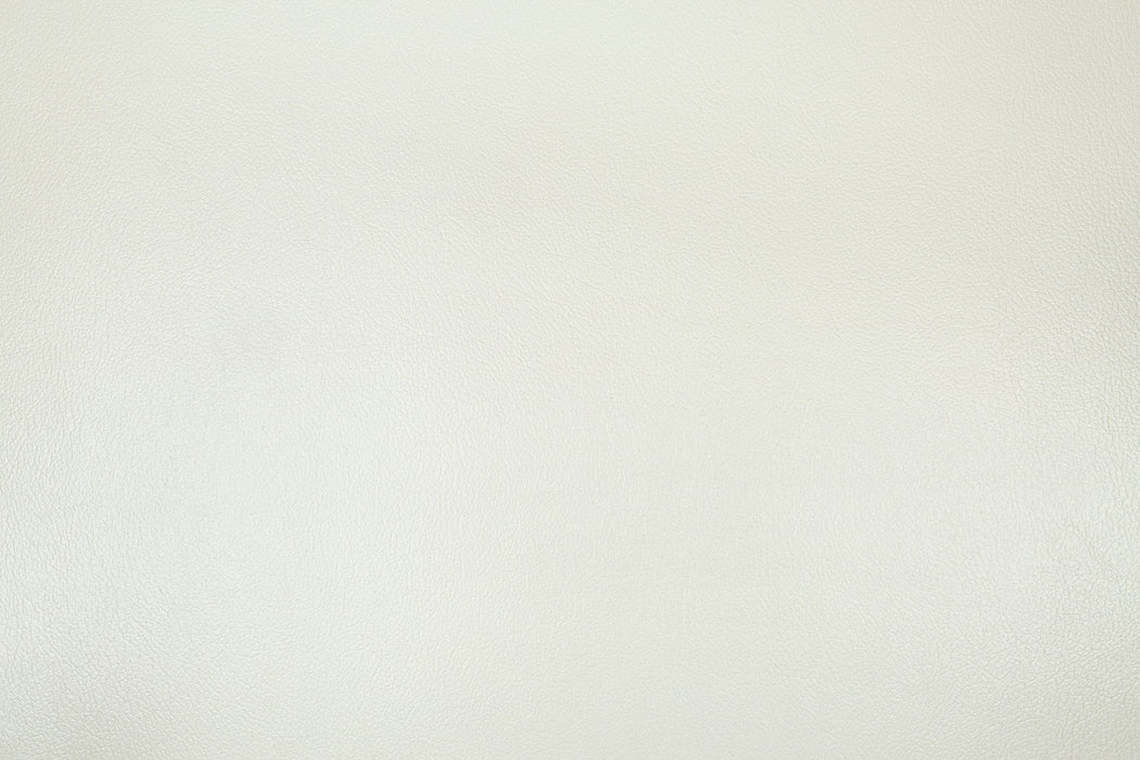 Adara Loveseat w/5 Pillows - Image 10