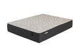 BLOSSOM II LUXURY FIRM QUEEN - FAMSA Furniture (TX)