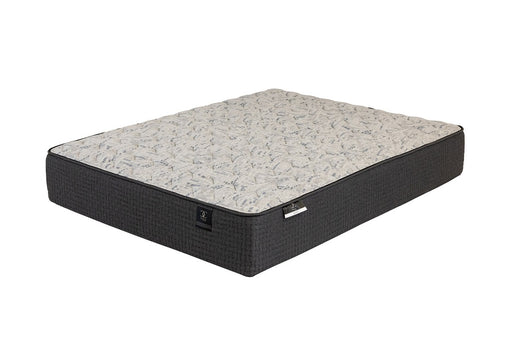 BLOSSOM II LUXURY FIRM QUEEN - FAMSA Furniture (TX)