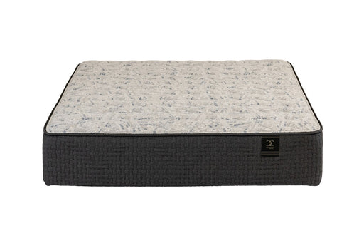 BLOSSOM II LUXURY FIRM QUEEN - FAMSA Furniture (TX)