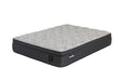 II SUPER PLUSH PILLOW TOP KING - FAMSA Furniture (TX)