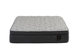 II SUPER PLUSH PILLOW TOP KING - FAMSA Furniture (TX)