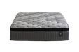 KENDALL II EURO TOP FIRM QUEEN - FAMSA Furniture (TX)